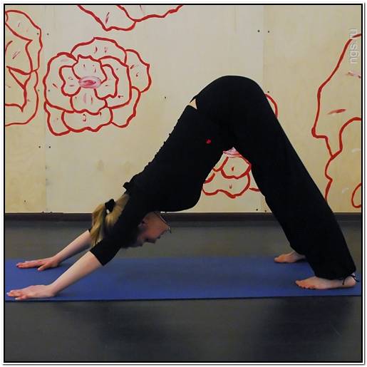 акбаш мария россия