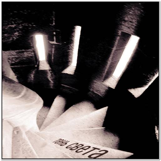 бигль и эстонская гончая