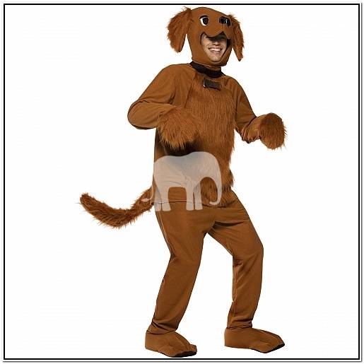 морские свинки болезни кожи