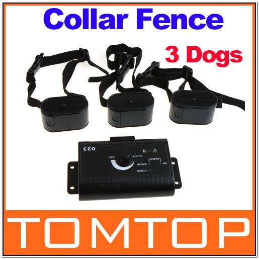 вельш корги пемброк саншайн соната дубенский замок