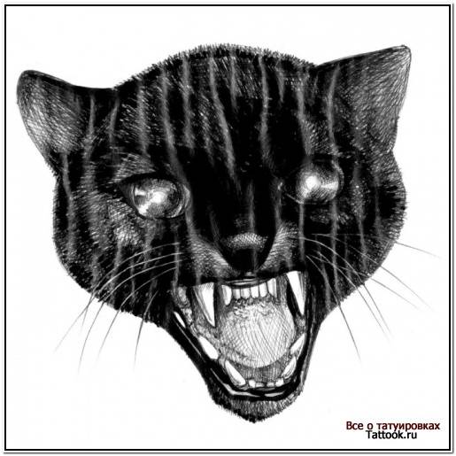 английский кокер спаниель щенки купить