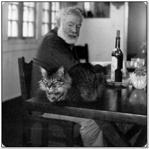 бульдог и бабочка