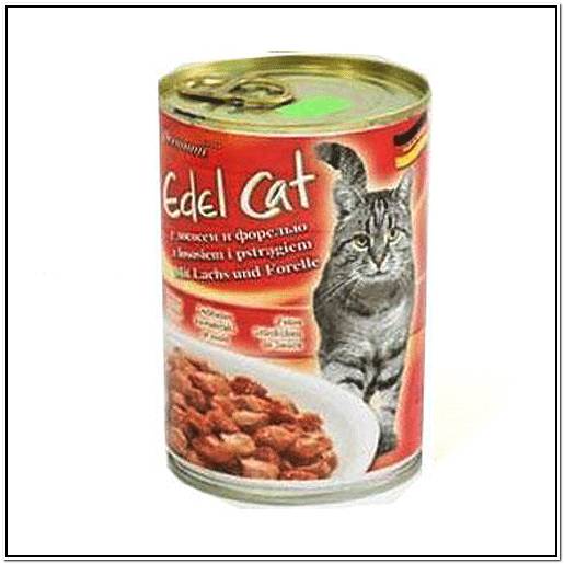 адские кошки 9 серия